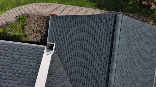 Best Roof Moss and Algae Removal  in Golf Manor, OH